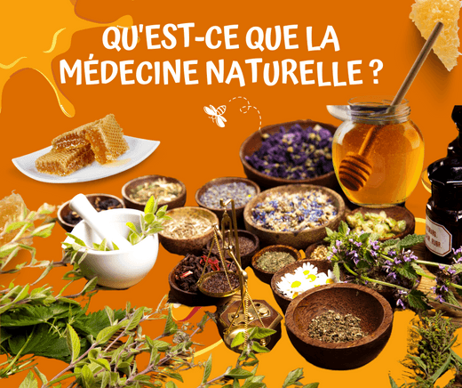 La puissance de la médecine naturelle: Découvrez les secrets de guérison de la nature. - Bioremedes
