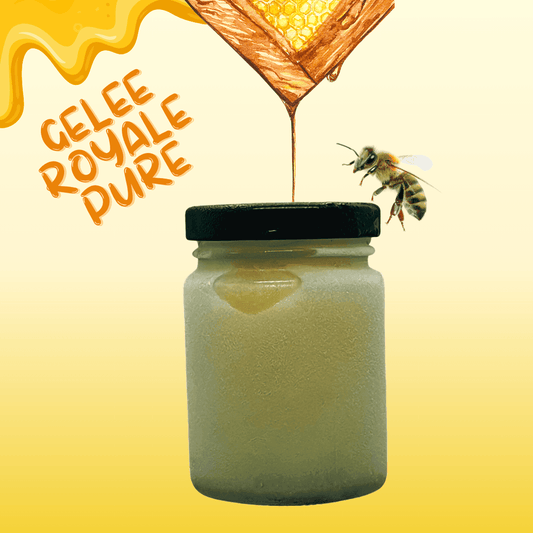 Gelée Royale Pure 100% – Trésor de la Ruche - Bioremedes